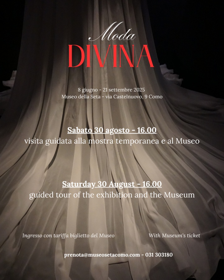 Guided tour temporay exhibition and Museum